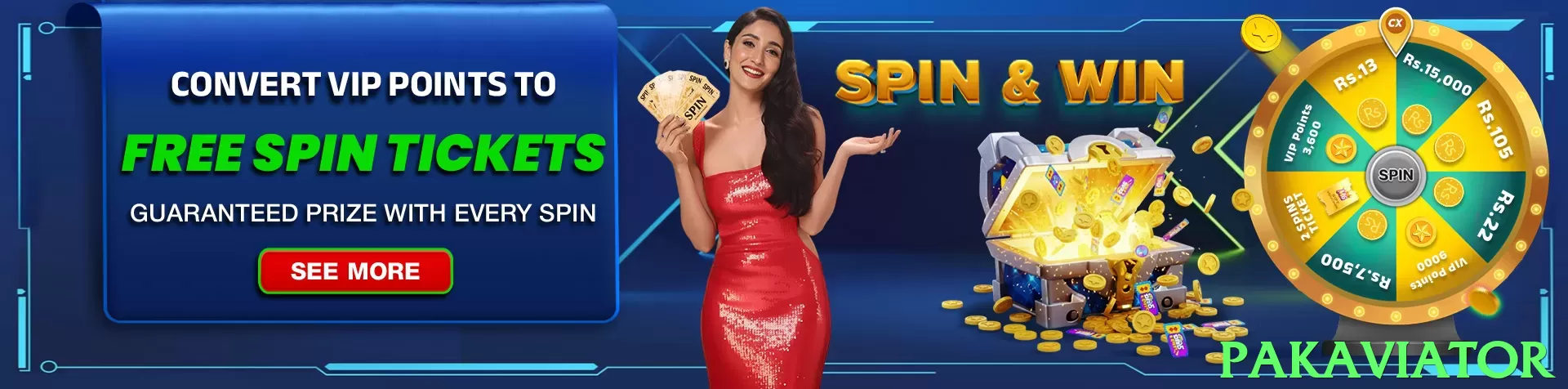 pakaviator Pakistan - 3