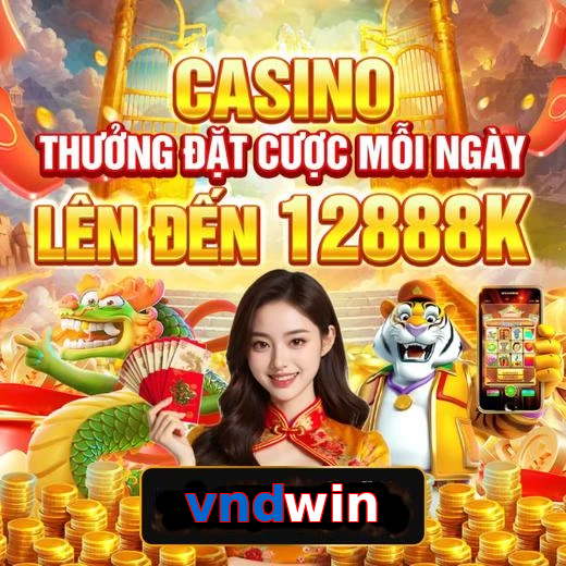 vndwin