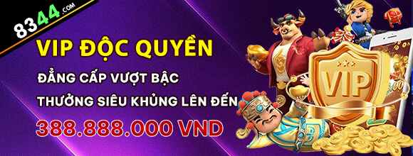 vndwin